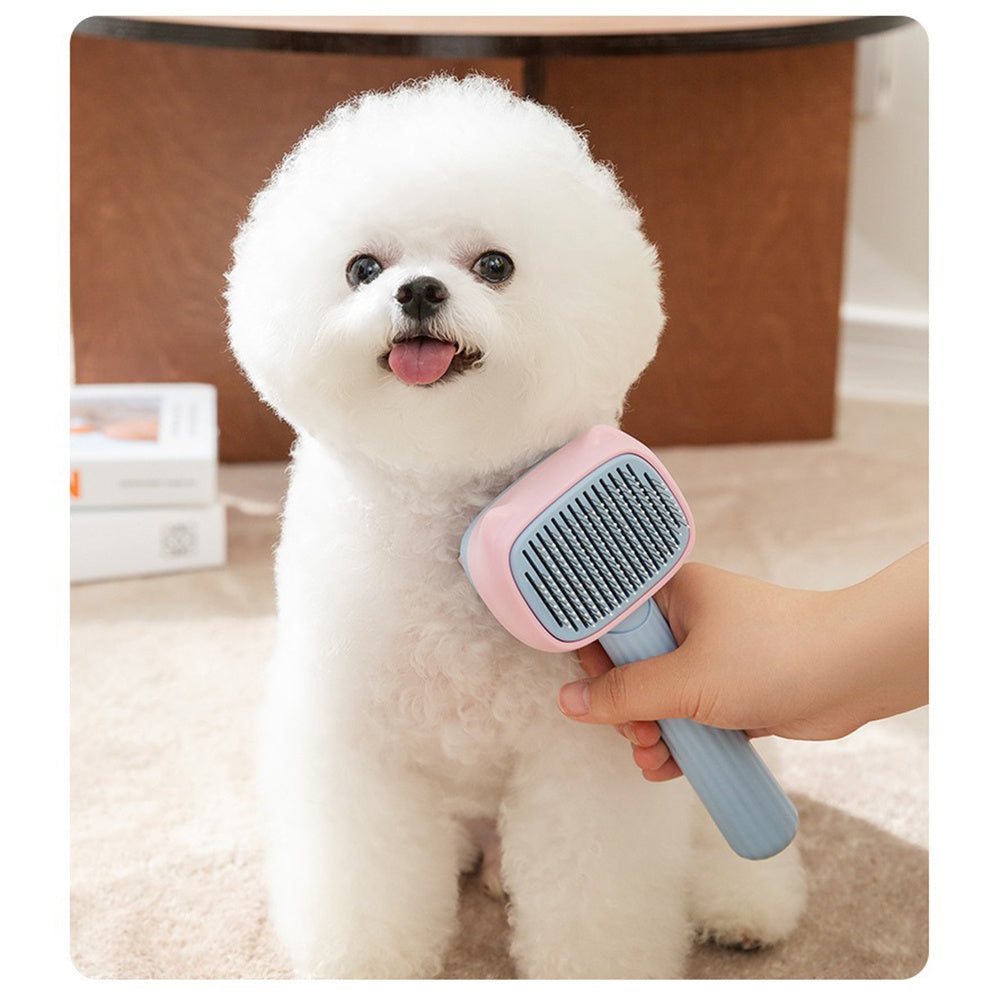 Pet grooming tools including brushes combs and deshedding tools for dogs and cats