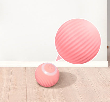 interactive cat toy ball