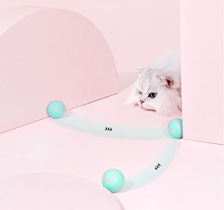 interactive cat toy ball