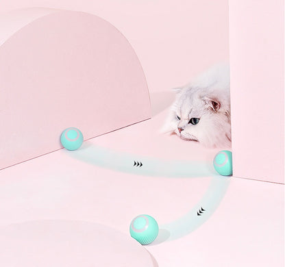interactive cat toy ball