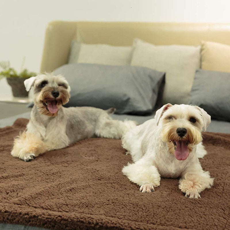 Plush pet blanket soft cozy blanket for dogs and cats