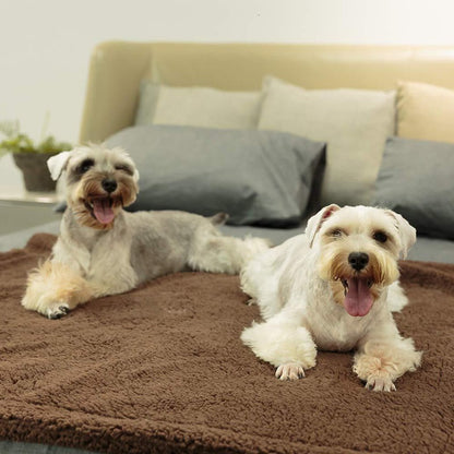 Plush pet blanket soft cozy blanket for dogs and cats