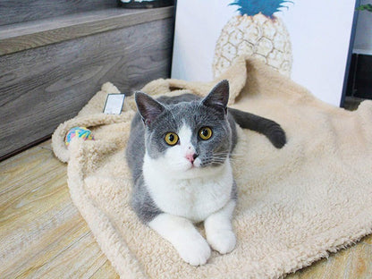 Plush pet blanket soft cozy blanket for dogs and cats