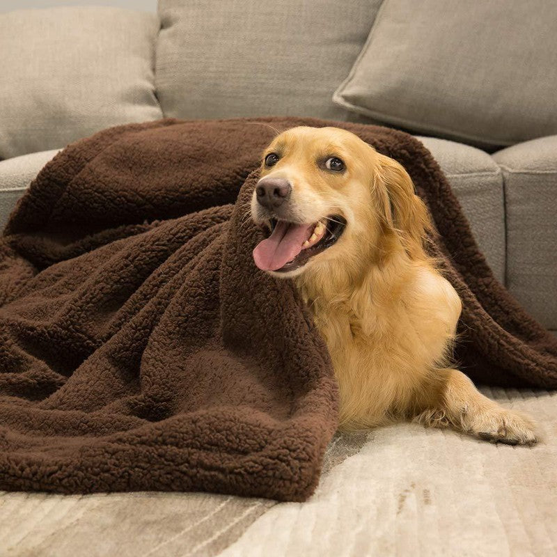 Plush pet blanket soft cozy blanket for dogs and cats