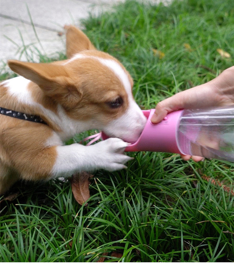 Portable dog water bottle with built-in dispenser for travel and outdoor use