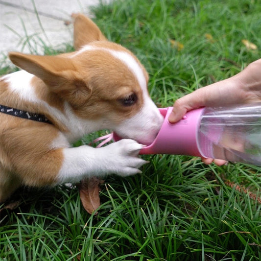 Portable dog water bottle with built-in dispenser for travel and outdoor use