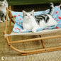 Cat hammock bed elevated cozy hanging pet bed for cats and small pets