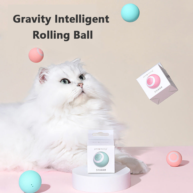 interactive cat toy ball