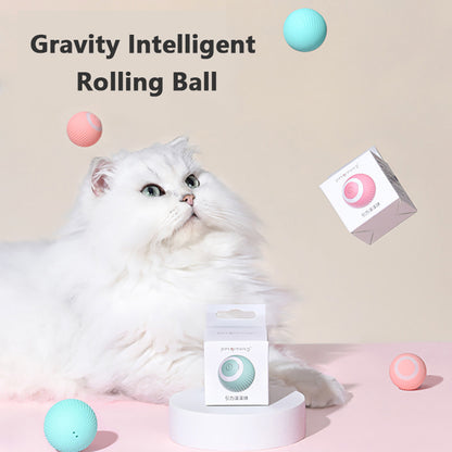 interactive cat toy ball
