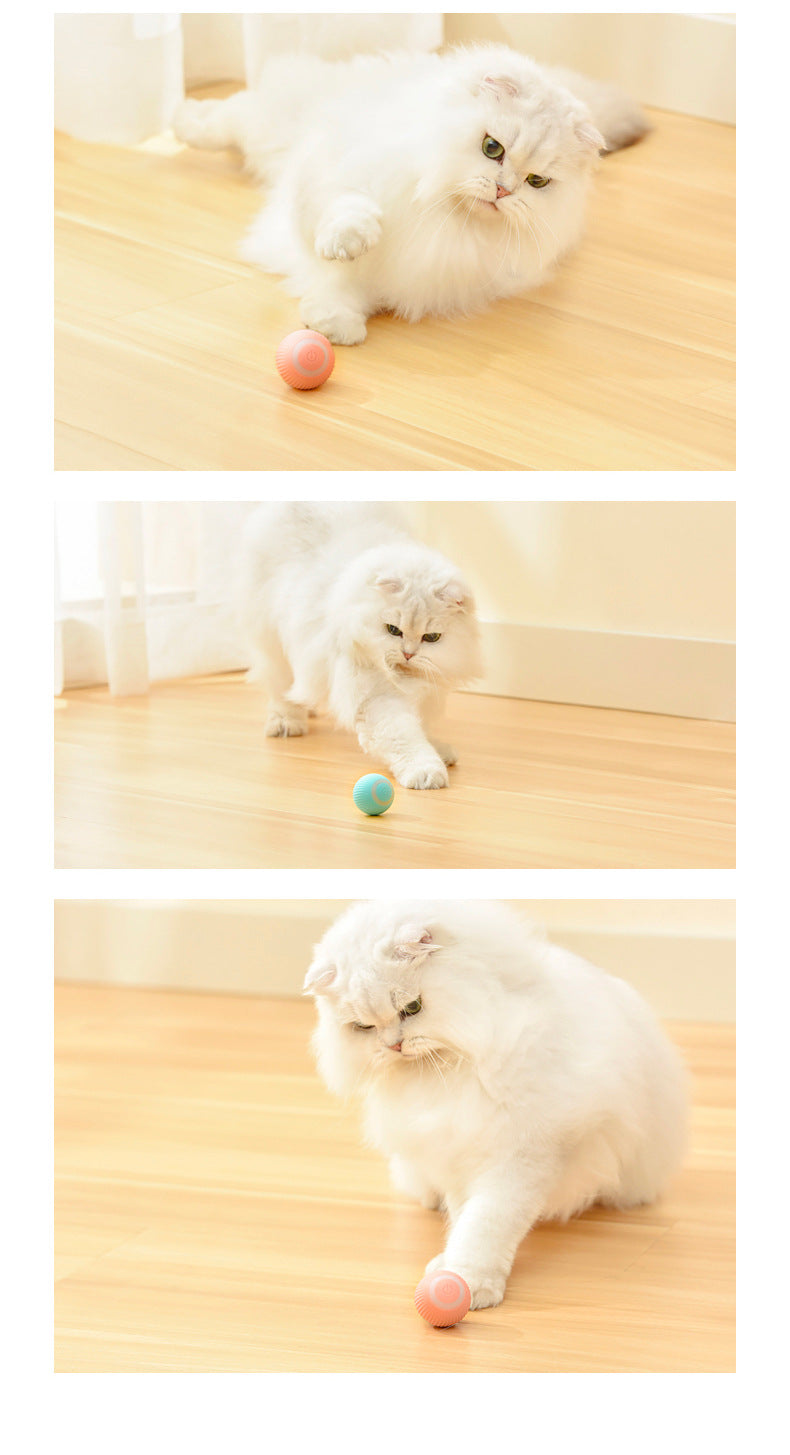 interactive cat toy ball