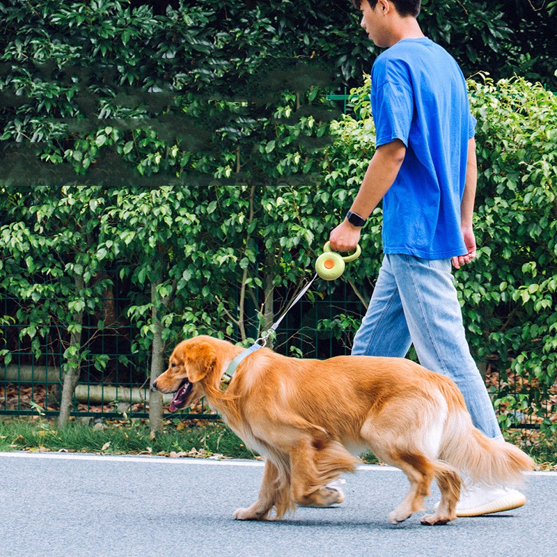 Retractable Dog Leash – Reflective Automatic Leash in 3 Colors