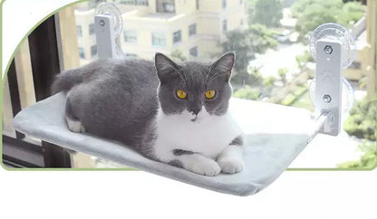 cat window hammock