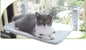 cat window hammock