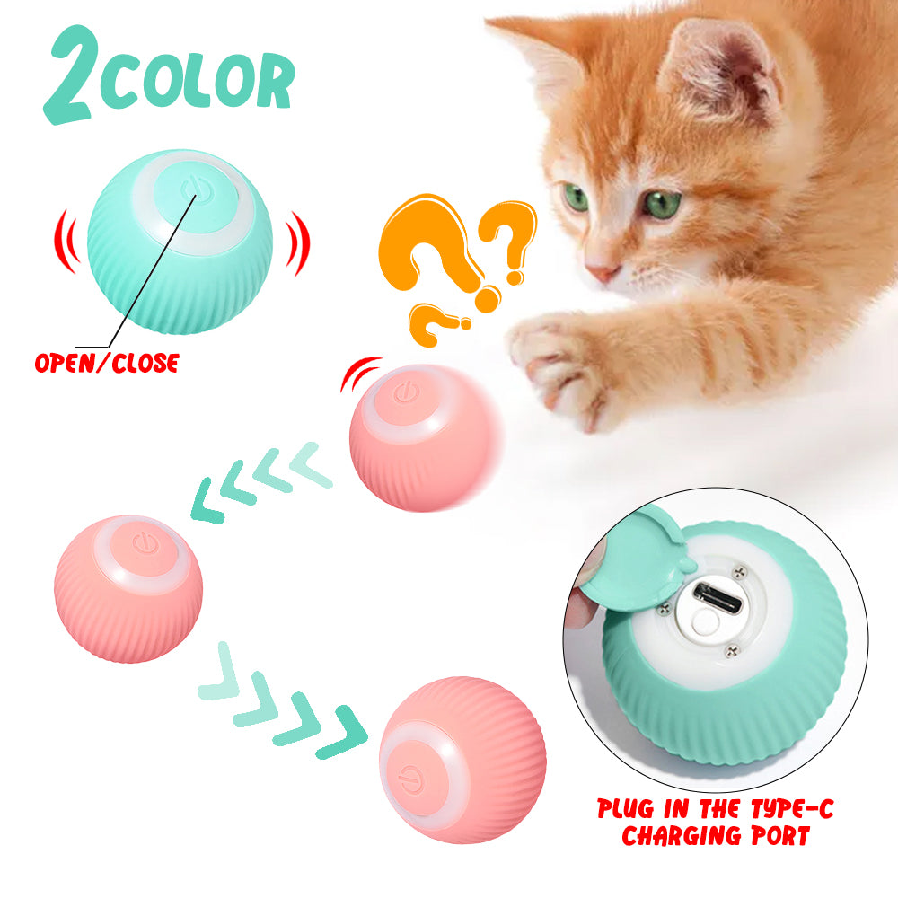 interactive cat toy ball