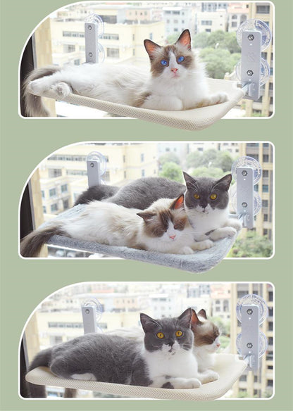 cat window hammock