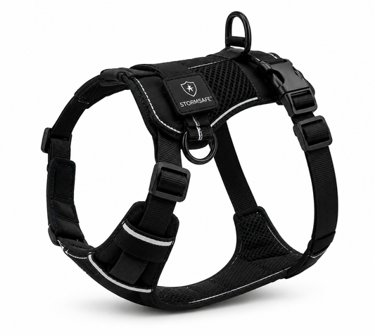 Black reflective no-pull dog harness with breathable mesh padding and adjustable straps.