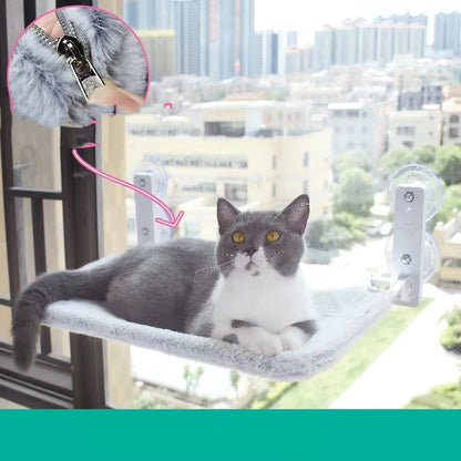 cat window hammock