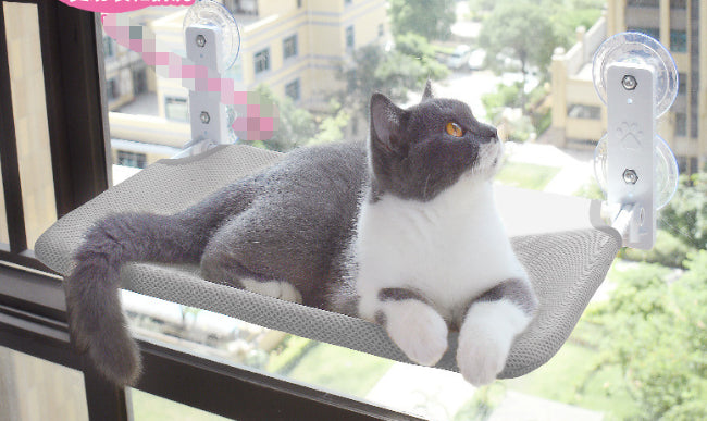 cat window hammock