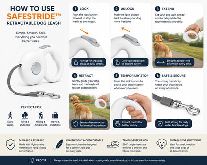 Step-by-step guide showing how to use a retractable dog leash safely and comfortably.