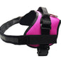 A happy Golden Retriever dog walking outside on a leash wearing a pink Storm Safe TM harness